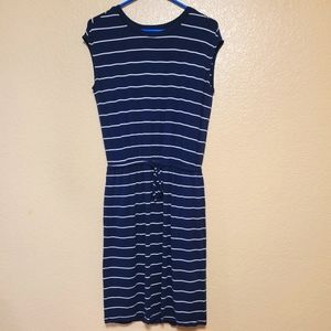 Banana Republic Women Navy Stripe Dress Size XS